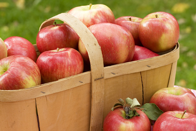 The recipe calls for Rome Beauty apples, but Honeycrisp apples can also be used (Honeycrisp apples pictured).